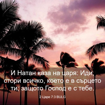 Picture 03 - 2 Царе 7:3 BULG - И Натан каза на царя: Иди, - Bible Verse Picture