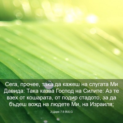 Picture 03 - 2 Царе 7:8 BULG - Сега, прочее, така да кажеш - Bible Verse Picture
