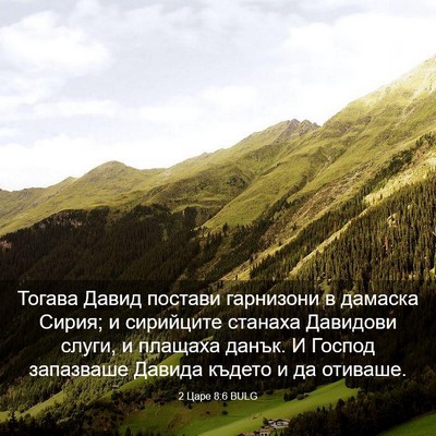Picture 03 - 2 Царе 8:6 BULG - Тогава Давид постави - Bible Verse Picture