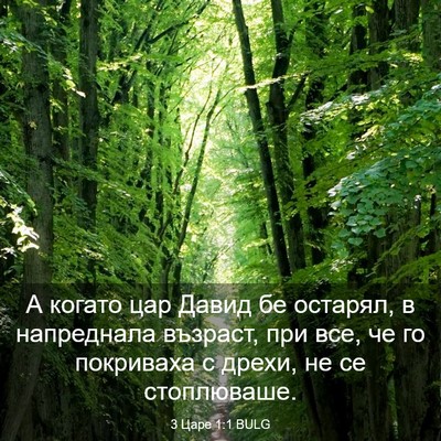 Picture 03 - 3 Царе 1:1 BULG - А когато цар Давид бе - Bible Verse Picture