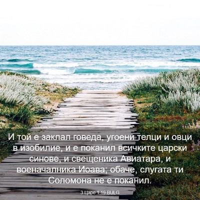 Picture 03 - 3 Царе 1:19 BULG - И той е заклал говеда, - Bible Verse Picture