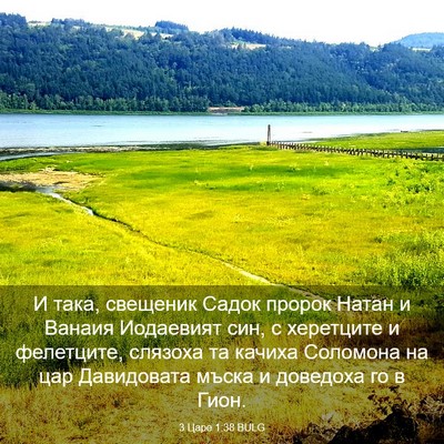 Picture 03 - 3 Царе 1:38 BULG - И така, свещеник Садок - Bible Verse Picture