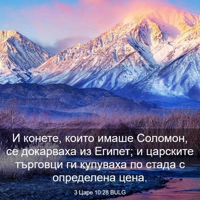 Picture 03 - 3 Царе 10:28 BULG - И конете, които имаше - Bible Verse Picture