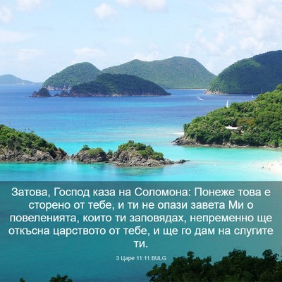 Picture 03 - 3 Царе 11:11 BULG - Затова, Господ каза на - Bible Verse Picture