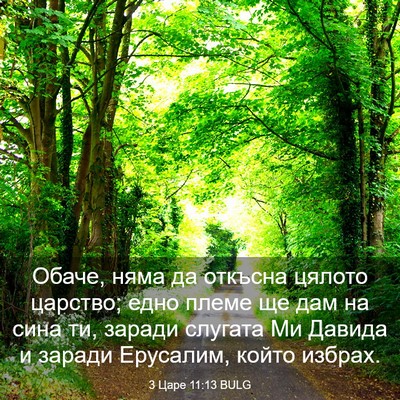 Picture 03 - 3 Царе 11:13 BULG - Обаче, няма да откъсна - Bible Verse Picture