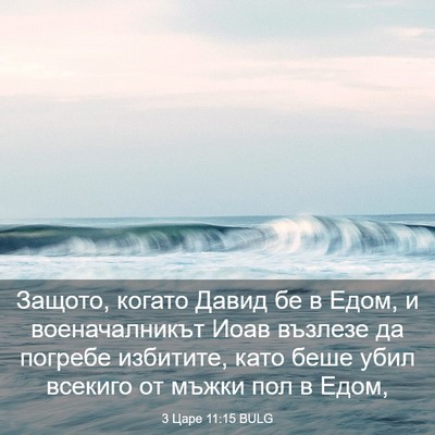 Picture 03 - 3 Царе 11:15 BULG - Защото, когато Давид бе в - Bible Verse Picture