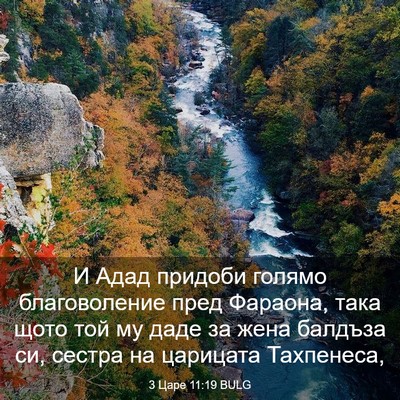 Picture 03 - 3 Царе 11:19 BULG - И Адад придоби голямо - Bible Verse Picture