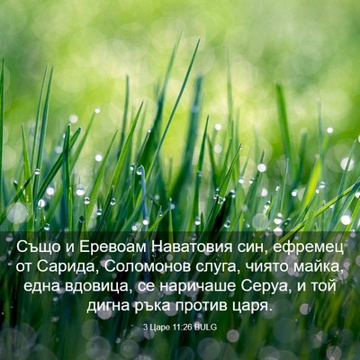 Picture 03 - 3 Царе 11:26 BULG - Също и Еревоам Наватовия - Bible Verse Picture