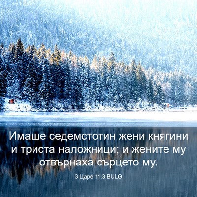 Picture 03 - 3 Царе 11:3 BULG - Имаше седемстотин жени - Bible Verse Picture