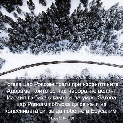 Picture 03 - 3 Царе 12:18 BULG - Тогава цар Ровоам прати - Bible Verse Picture
