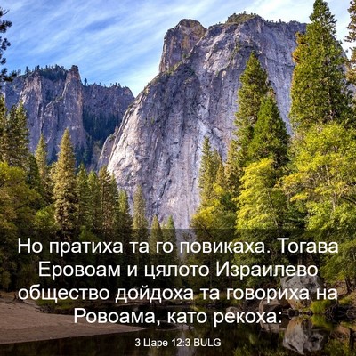 Picture 03 - 3 Царе 12:3 BULG - Но пратиха та го повикаха. - Bible Verse Picture