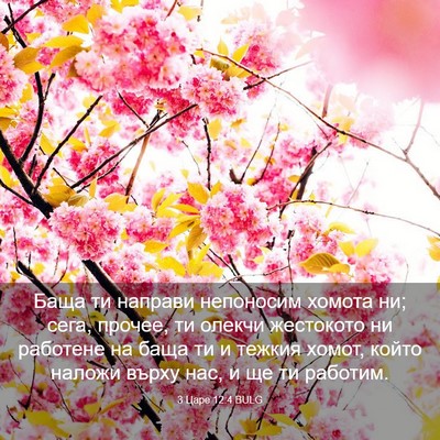 Picture 03 - 3 Царе 12:4 BULG - Баща ти направи непоносим - Bible Verse Picture