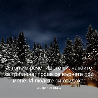 Picture 03 - 3 Царе 12:5 BULG - А той им рече: Идете си, - Bible Verse Picture