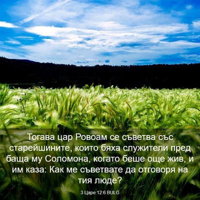 Picture 03 - 3 Царе 12:6 BULG - Тогава цар Ровоам се - Bible Verse Picture
