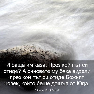 Picture 03 - 3 Царе 13:12 BULG - И баща им каза: През кой път - Bible Verse Picture