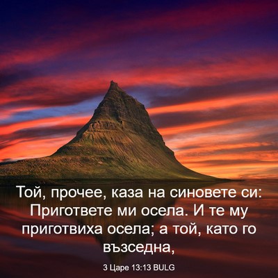 Picture 03 - 3 Царе 13:13 BULG - Той, прочее, каза на - Bible Verse Picture