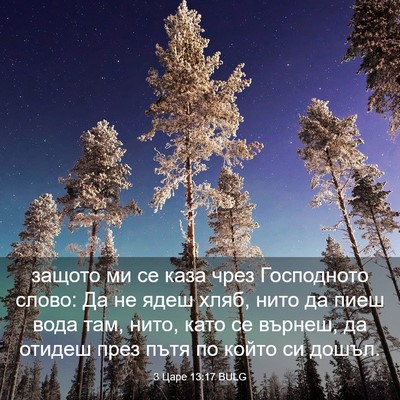 Picture 03 - 3 Царе 13:17 BULG - защото ми се каза чрез - Bible Verse Picture