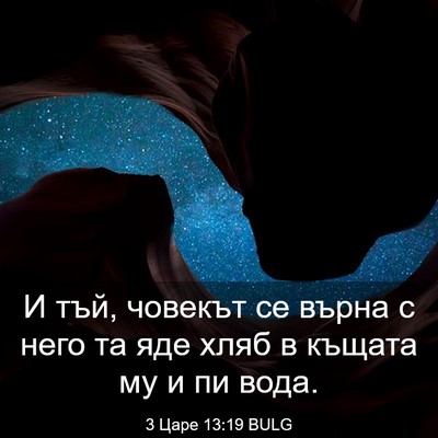 Picture 03 - 3 Царе 13:19 BULG - И тъй, човекът се върна с - Bible Verse Picture