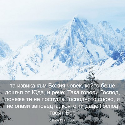 Picture 03 - 3 Царе 13:21 BULG - та извика към Божия човек, - Bible Verse Picture