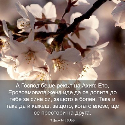 Picture 03 - 3 Царе 14:5 BULG - А Господ беше рекъл на - Bible Verse Picture