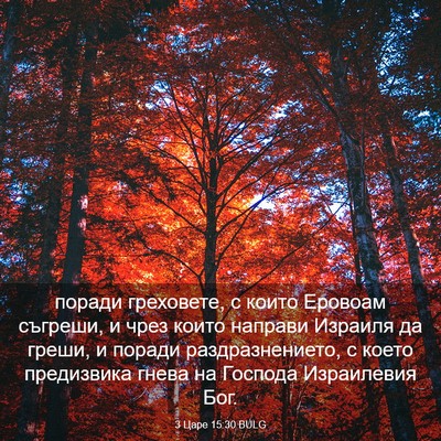 Picture 03 - 3 Царе 15:30 BULG - поради греховете, с които - Bible Verse Picture