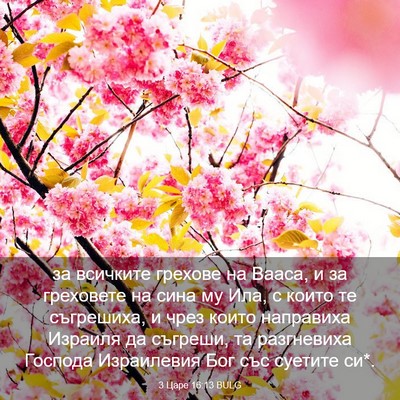 Picture 03 - 3 Царе 16:13 BULG - за всичките грехове на - Bible Verse Picture