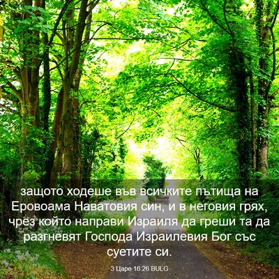 Picture 03 - 3 Царе 16:26 BULG - защото ходеше във всичките - Bible Verse Picture