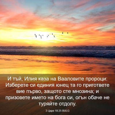 Picture 03 - 3 Царе 18:25 BULG - И тъй, Илия каза на - Bible Verse Picture