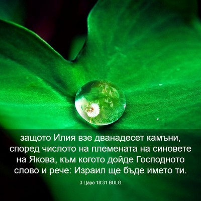 Picture 03 - 3 Царе 18:31 BULG - защото Илия взе дванадесет - Bible Verse Picture