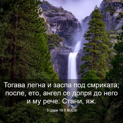 Picture 03 - 3 Царе 19:5 BULG - Тогава легна и заспа под - Bible Verse Picture