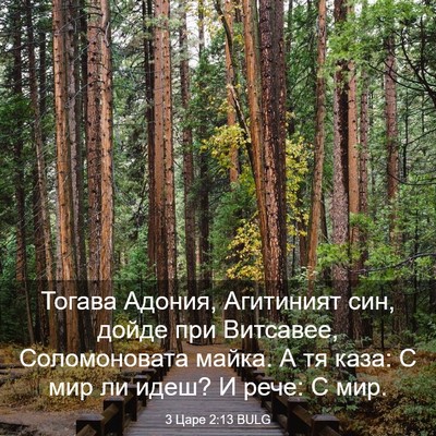 Picture 03 - 3 Царе 2:13 BULG - Тогава Адония, Агитиният - Bible Verse Picture