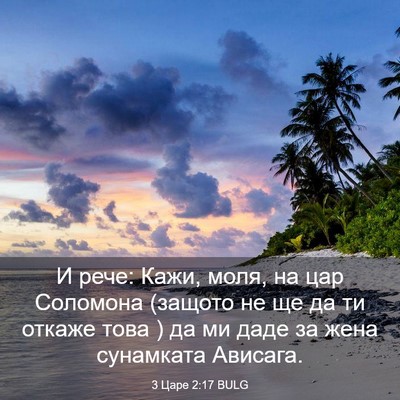 Picture 03 - 3 Царе 2:17 BULG - И рече: Кажи, моля, на цар - Bible Verse Picture
