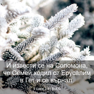Picture 03 - 3 Царе 2:41 BULG - И извести се на Соломона, - Bible Verse Picture