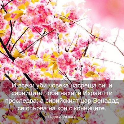 Picture 03 - 3 Царе 20:20 BULG - И всеки уби човека насреща - Bible Verse Picture