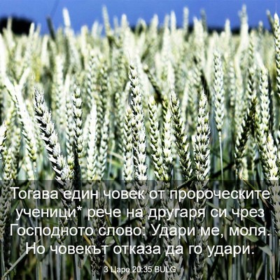 Picture 03 - 3 Царе 20:35 BULG - Тогава един човек от - Bible Verse Picture