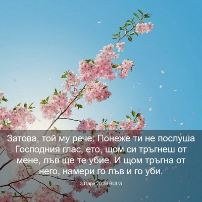 Picture 03 - 3 Царе 20:36 BULG - Затова, той му рече: Понеже - Bible Verse Picture