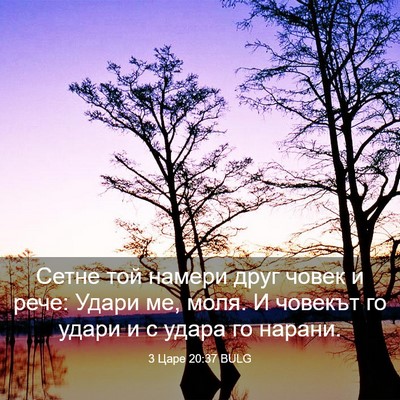 Picture 03 - 3 Царе 20:37 BULG - Сетне той намери друг - Bible Verse Picture