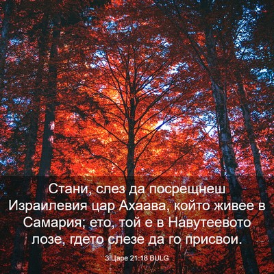 Picture 03 - 3 Царе 21:18 BULG - Стани, слез да посрещнеш - Bible Verse Picture