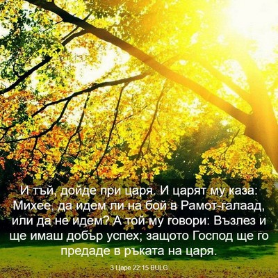 Picture 03 - 3 Царе 22:15 BULG - И тъй, дойде при царя. И - Bible Verse Picture