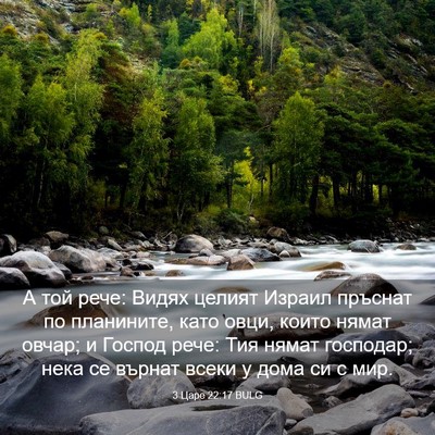 Picture 03 - 3 Царе 22:17 BULG - А той рече: Видях целият - Bible Verse Picture