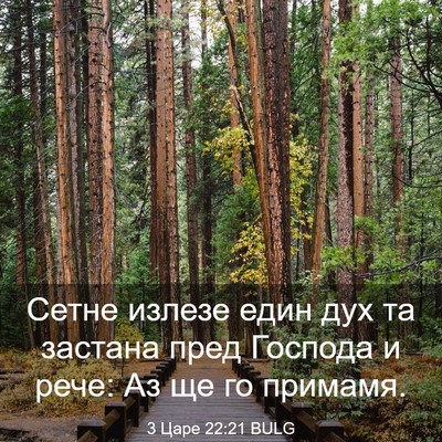 Picture 03 - 3 Царе 22:21 BULG - Сетне излезе един дух та - Bible Verse Picture