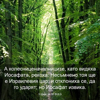 Picture 03 - 3 Царе 22:32 BULG - А колесниценачелниците, - Bible Verse Picture