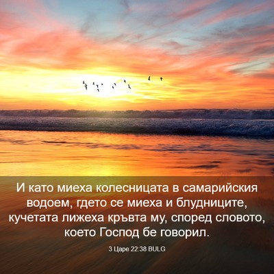 Picture 03 - 3 Царе 22:38 BULG - И като миеха колесницата в - Bible Verse Picture