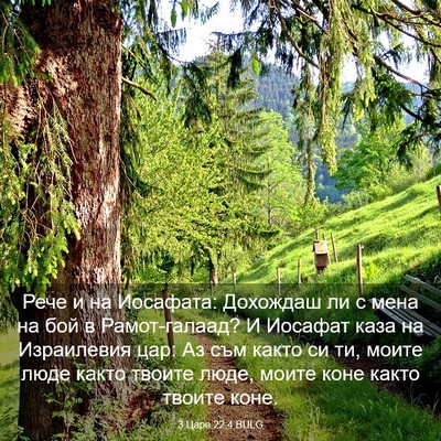 Picture 03 - 3 Царе 22:4 BULG - Рече и на Иосафата: - Bible Verse Picture