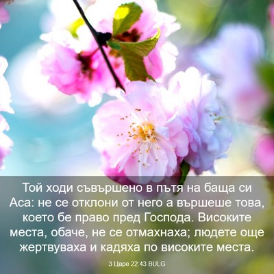 Picture 03 - 3 Царе 22:43 BULG - Той ходи съвършено в пътя - Bible Verse Picture