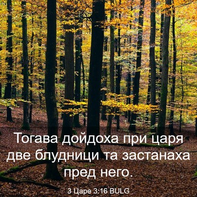 Picture 03 - 3 Царе 3:16 BULG - Тогава дойдоха при царя - Bible Verse Picture