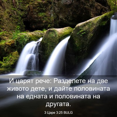 Picture 03 - 3 Царе 3:25 BULG - И царят рече: Разделете на - Bible Verse Picture