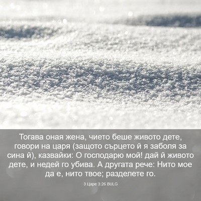 Picture 03 - 3 Царе 3:26 BULG - Тогава оная жена, чието - Bible Verse Picture