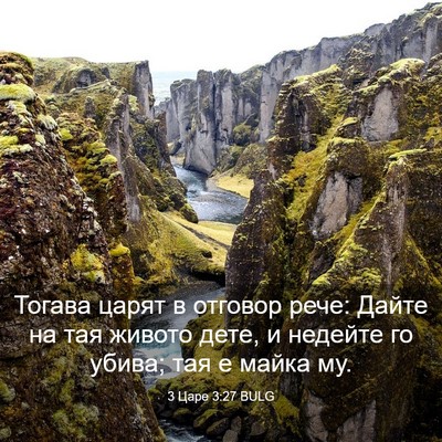 Picture 03 - 3 Царе 3:27 BULG - Тогава царят в отговор - Bible Verse Picture