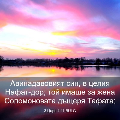 Picture 03 - 3 Царе 4:11 BULG - Авинадавовият син, в целия - Bible Verse Picture